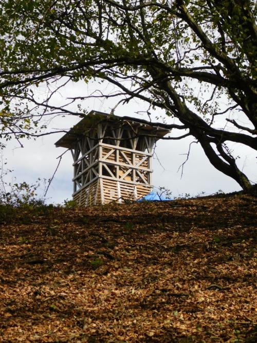 Rozhľadňa "Jeden strom" / "Egy fa" kilátó