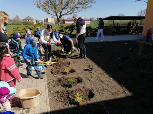 Projektové vyučovanie – Sadenie okrasných stromčekov a kvetov na školskom dvore