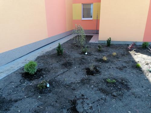 Projektové vyučovanie – Sadenie okrasných stromčekov a kvetov na školskom dvore